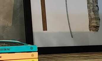 Imagem 3: INCRÍVEL FLAT INDUSTRIAL COM VAGA DE GARAGEM JARDIM AMÁLIA/NORMANDIA