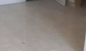 Imagem 3: APARTAMENTO - CIDADE PATRIARCA - SP