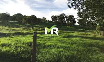 Imagem 3: Fazenda 64 alqueires em Marzagão