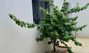 Imagem 6: Casa no Edgar Pereira, melhor localização do bairro, com piscina/ 3 quartos