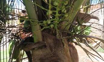 Imagem 7: Casa com 3 dormitórios à venda, 136 m² por R$ 450.000,00 - Loteamento Bela Vista - Maringá