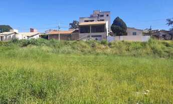 Imagem 4: Terreno Padrão em Bauru