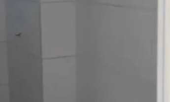 Imagem 6: Evidence Jabotiana