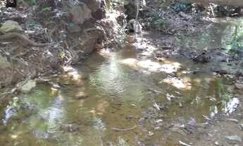 Imagem 5: Lindo sitio de 1.540 metros a 60 Km de BH * WhtsAPP Guilherme