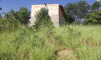 Imagem: Linda chácara de 3 mil metros todo terra
