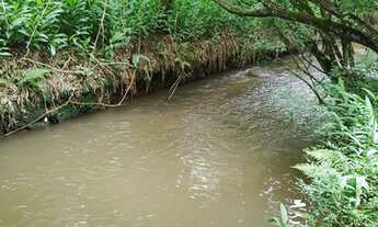 Imagem 7: Vendo chácara Campo Magro 20.000m2