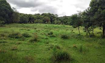 Imagem 5: Vendo chácara Campo Magro 20.000m2