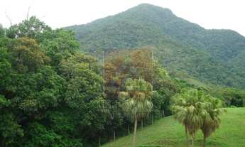 Imagem 6: Blumenau - Chácara - Nova Russia