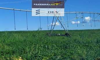 Imagem 4: Área Rural Premium - Em Catalão-GO ! 894 HECTARES