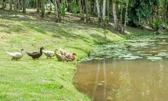 Imagem 7: Terrenos para venda em Camboriú