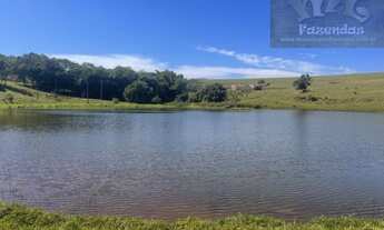 Imagem 3: Fazenda na Região de Brotas 110 alqs