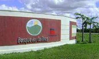 Imagem 5: Ùltimos Lotes no Bosque das Colina a apenas 8 minutos do centro de Parnamirim Financiado d