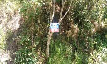 Imagem 6: Mogi das Cruzes - Terreno Padrão - Vila São Paulo