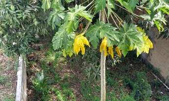 Imagem 2: OPORTUNIDADE PRÉDIO COMERCIAL