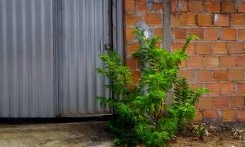 Imagem 2: Casa 140m² em Barra do Pojuca - Tranquila e perto das melhores praias