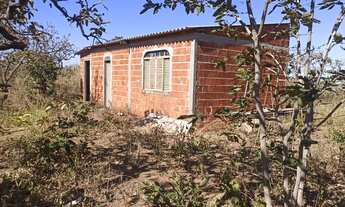 Imagem 2: Alugo Chácara Formada 7.000 m2 DF 290 Ponte Alta de Cima Gama DF