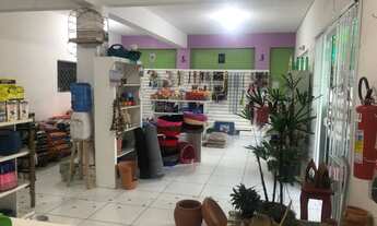 Imagem 5: Agropet com estrutura para Banho e Tosa