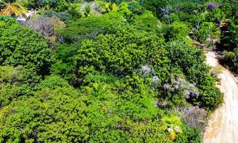 Imagem 4: Oportunidade - Residencial/Comercial