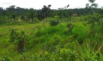 Imagem 7: Terra em Roraima