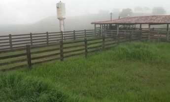 Imagem 2: Fazenda na região de Padre Bernardo