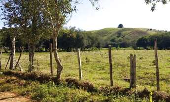 Imagem 6: BORDA DA MATA - Terreno Padrão - Estação