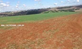 Imagem 5: Área Rural para Venda em Cambé, ÁREA RURAL