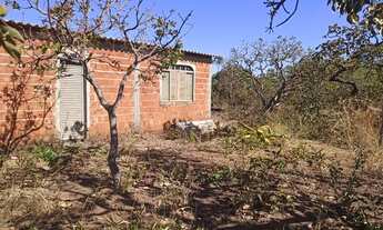 Imagem: Alugo Chácara Formada 7.000 m2 DF 290 Ponte