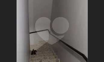 Imagem 7: Casa-São Paulo-TUCURUVI