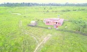 Imagem 4: Fazenda 204 hc em rorainopolis