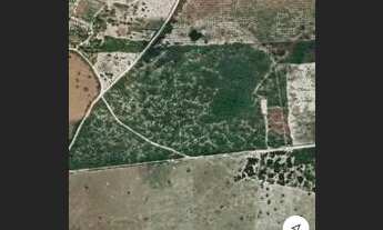 Imagem 2: Área com 10 hectáres em Macaíba na estrada de Vera Cruz - R$200.000,00 whatsapp:84 9.9416