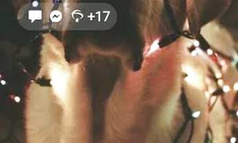 Imagem: Procuro uma pessoa para dividir kitnet