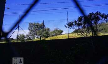 Imagem 4: Apartamento para Aluguel - Alto Petrópolis, 2 Quartos, 46 m2