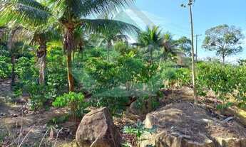 Imagem 4: Vende-se lote em Tocaia - Iconha possui 3000 metros quadrados