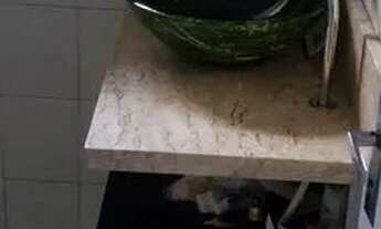 Imagem 7: CASA TÉRREA - CAMPO GRANDE - SP