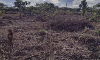 Imagem 6: Ótimo terreno,venha fazer o sítio