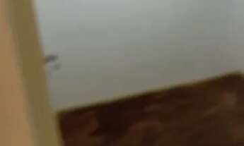 Imagem 4: Alugo apartamento 2 quartos