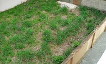 Imagem 4: PONTE NOVA - Terreno Padrão - Vale Verde