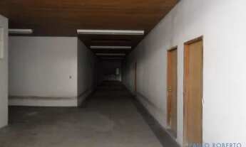 Imagem 7: GALPÃO - CAMPO GRANDE - SP