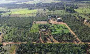 Imagem 2: Chácara 2 Hectares Chacara De 20.000M2, São 20.000M2!. 1NLQUNS