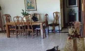 Imagem 3: Apartamento residencial à venda, Edifício Celso Patelli, Centro, Ribeirão Preto