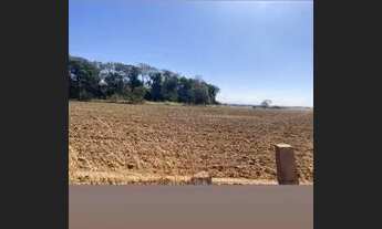 Imagem: Fazenda 25 Alq em Aragoiania