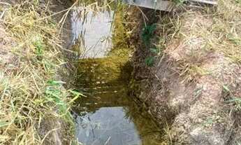 Imagem 6: Excelente chácara em Vianópolis