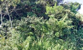 Imagem 5: Terreno jardim Califórnia lado praia!