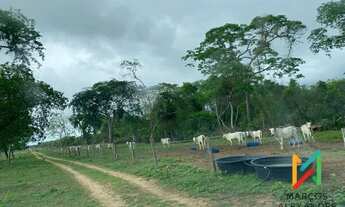 Imagem 3: Fazenda para Venda em Poconé, Zona Rural, 3 dormitórios, 2 banheiros