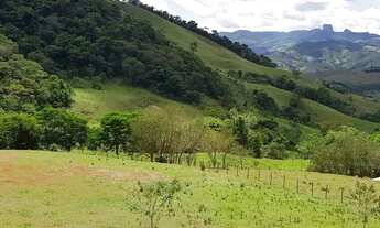 Imagem 5: Terreno no bairro do Serrano
