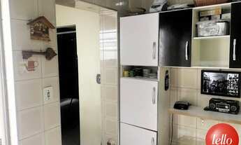 Imagem 6: São Paulo - Casa Padrão - Pinheiros