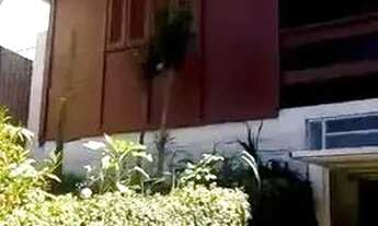 Imagem 3: Vende se ou permuta