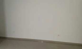 Imagem 5: CASA TÉRREA - JABAQUARA - SP