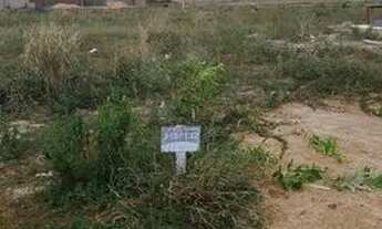 Imagem 2: Terreno no Caburaí 2