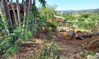Imagem 5: Chácara - Área Rural de Artur Nogueira - Artur Nogueira